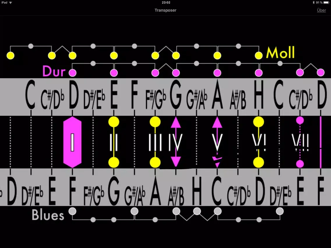 Screenshot di The Transposer iPad 