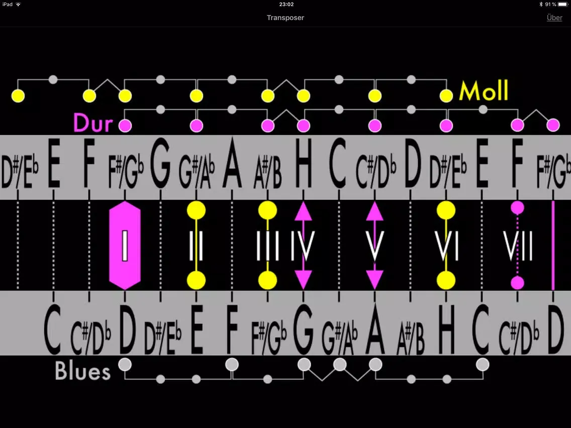 Screenshot di The Transposer iPad 