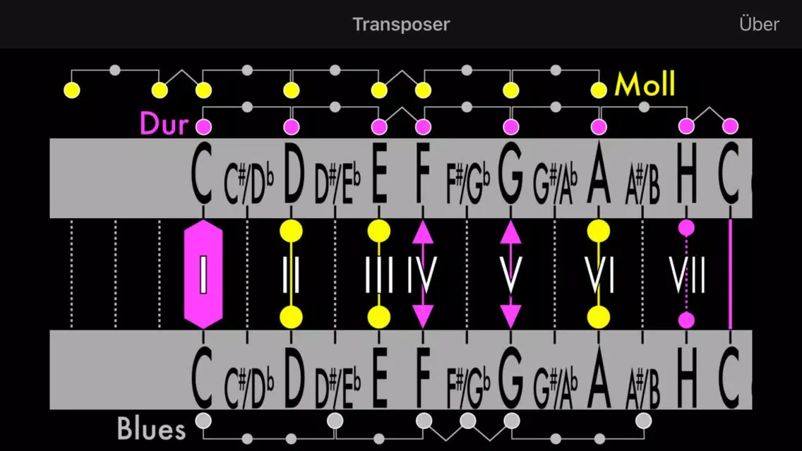Screenshot di The Transposer