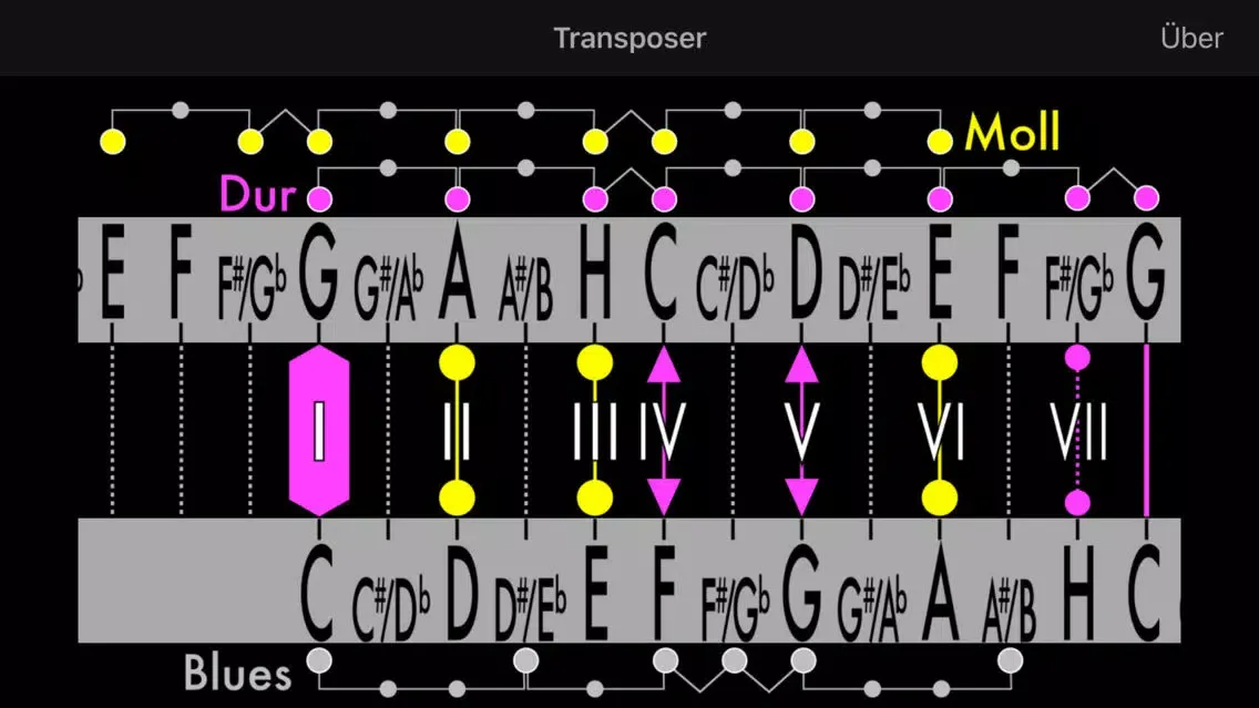 Screenshot di The Transposer