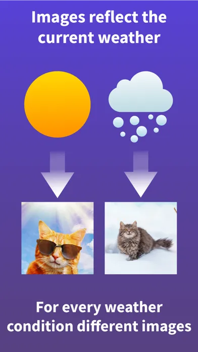 Cat Widget - World of Cats স্ক্রিনশট