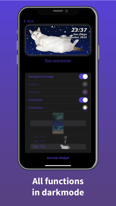 Cat Widget - World of Cats应用截图