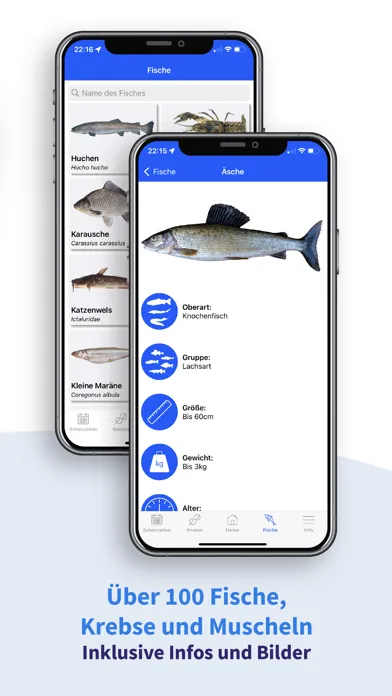 ภาพหน้าจอของ Fishing Plus - Die Angel App