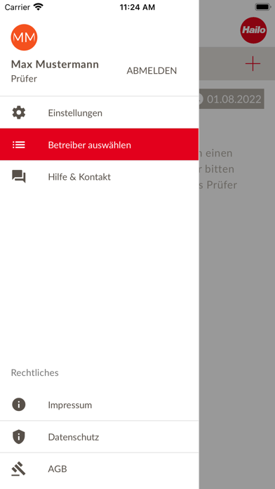 Hailo Inspect Screenshots