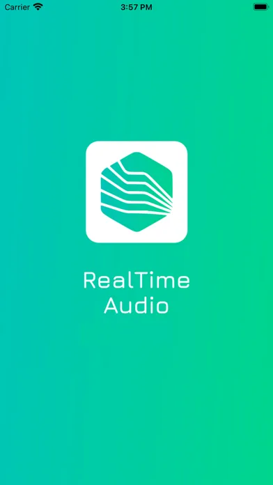 Скриншоты RealTime Audio