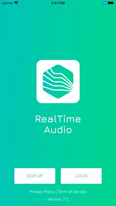 Скриншоты RealTime Audio