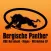HSG Bergische Panther