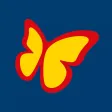 Schmetterling Travelbox