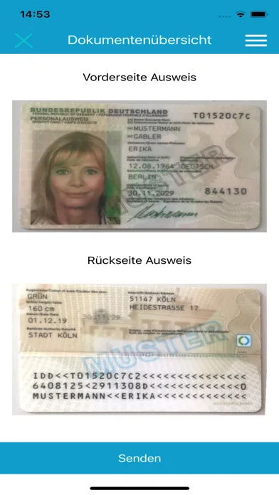 Скриншоты identity online