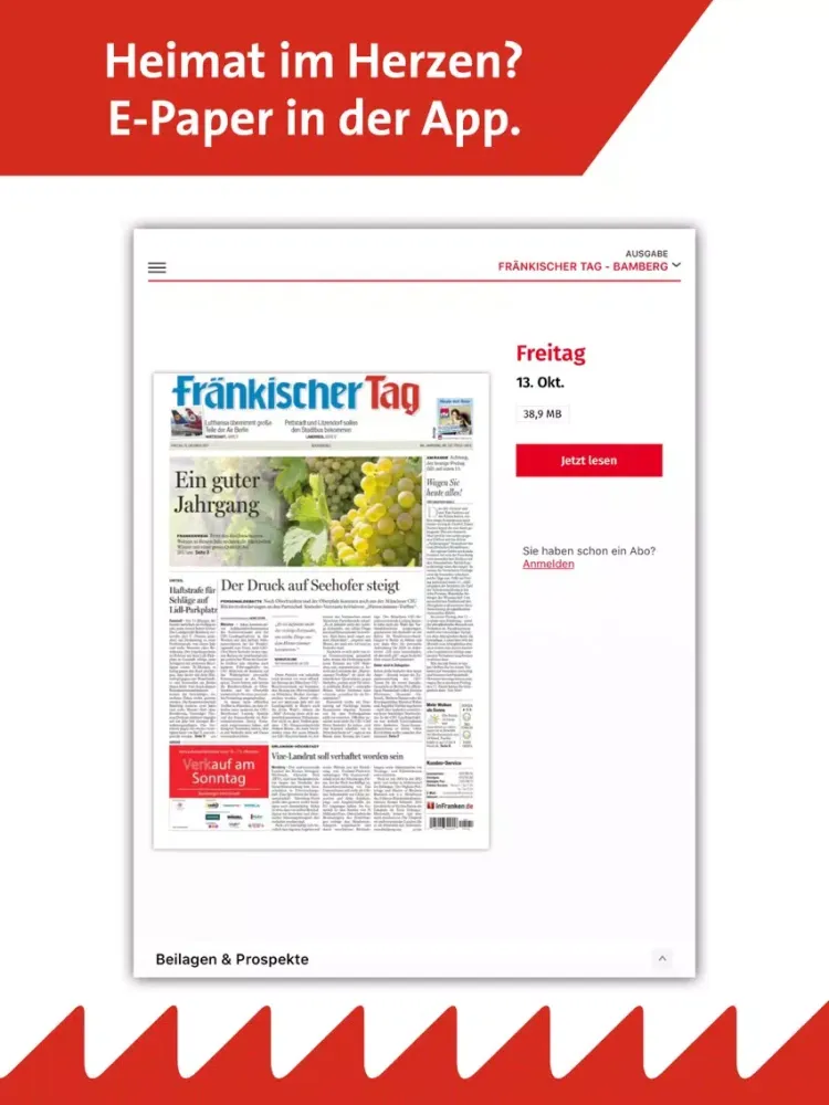 inFranken.de E-Paper iPad  স্ক্রিনশট