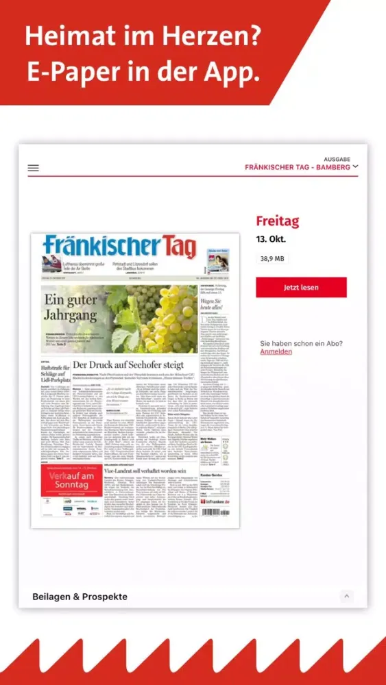 inFranken.de E-Paper স্ক্রিনশট