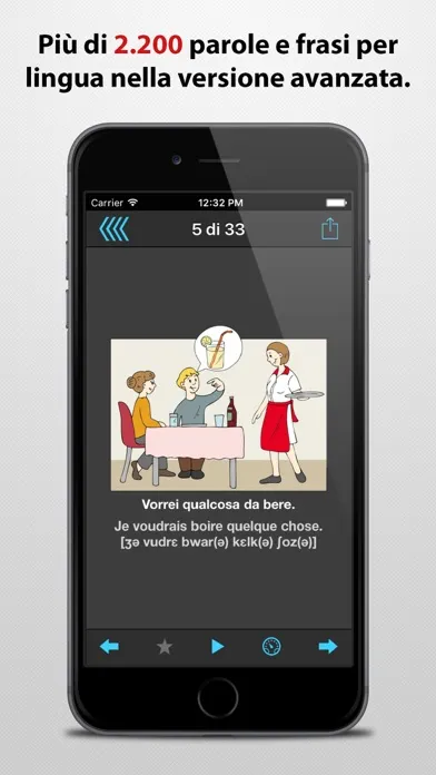 Manuale di conversazione illustrato - più di 30 lingue Screenshots