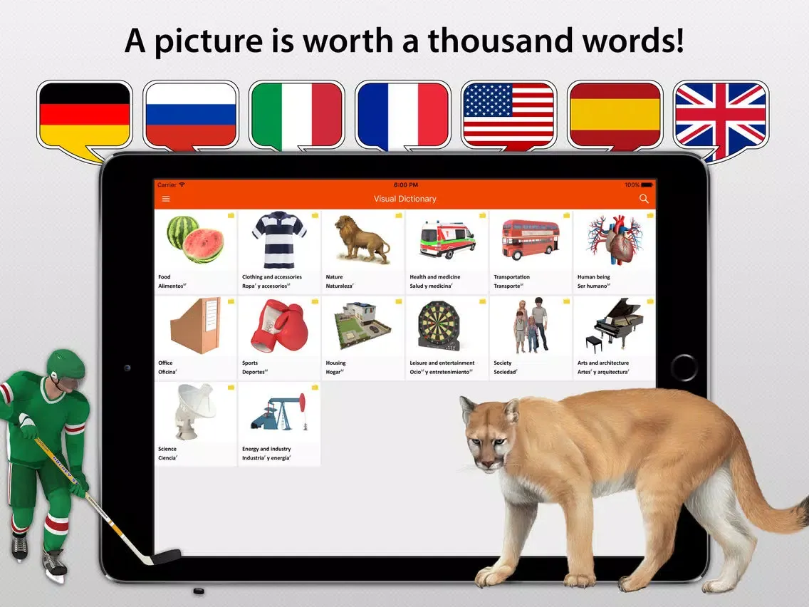 Screenshot di LEXI24 Visual Dictionary iPad 