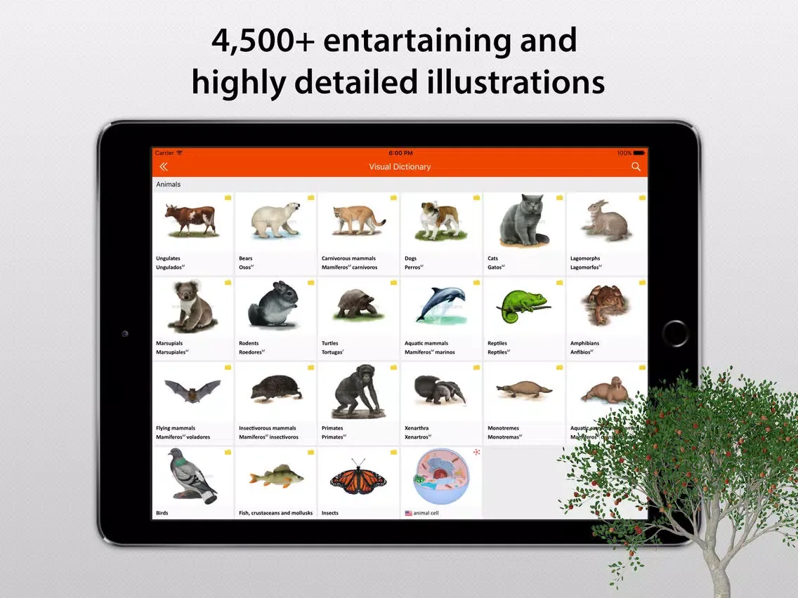 Screenshot di LEXI24 Visual Dictionary iPad 