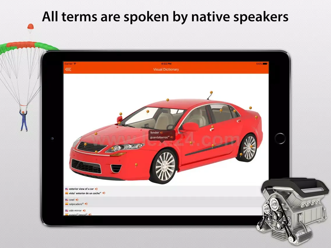 Screenshot di LEXI24 Visual Dictionary iPad 