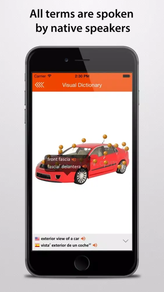 Screenshot di LEXI24 Visual Dictionary