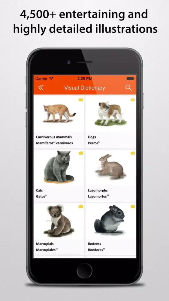 Screenshot di LEXI24 Visual Dictionary