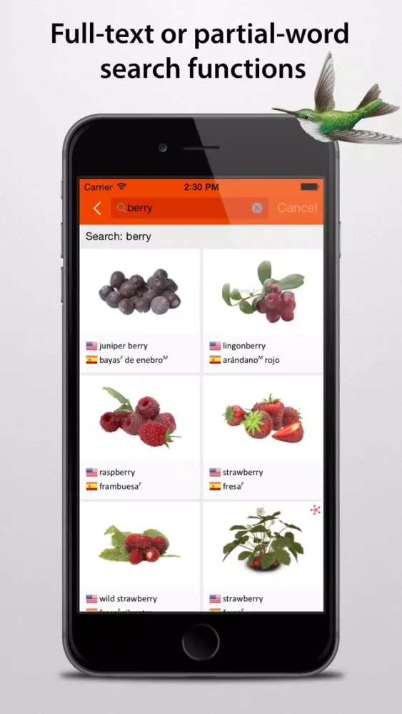 Screenshot di LEXI24 Visual Dictionary