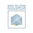 Jung Visu Pro