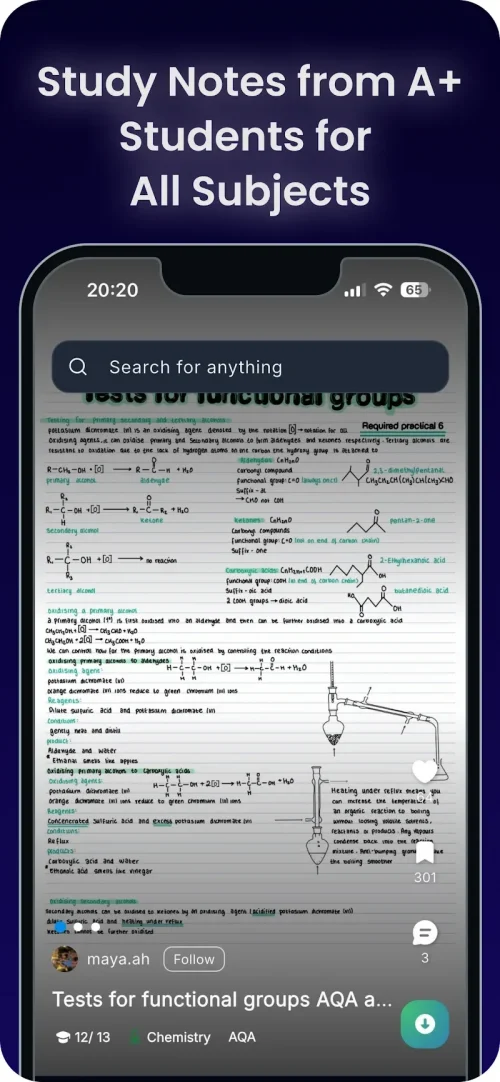 Knowunity: AI Study Helper-screenshot-4