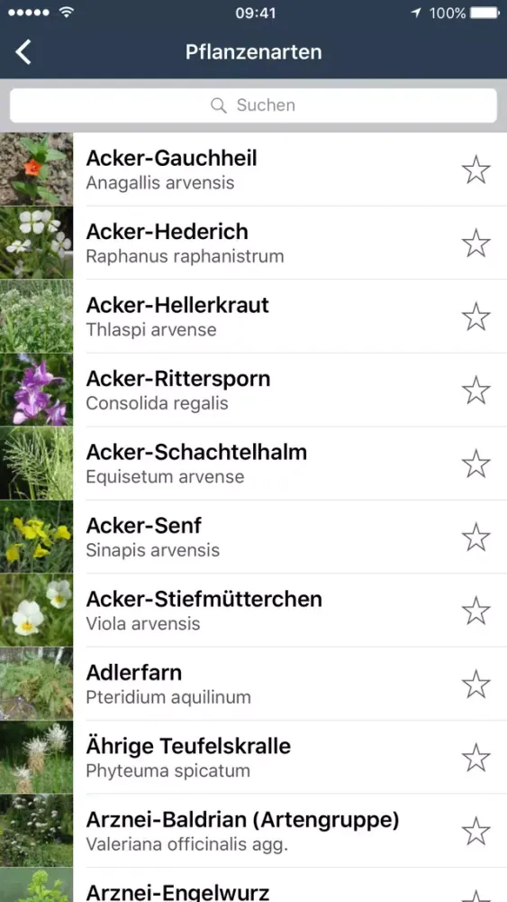 Скриншоты Wildpflanzen zum Genießen