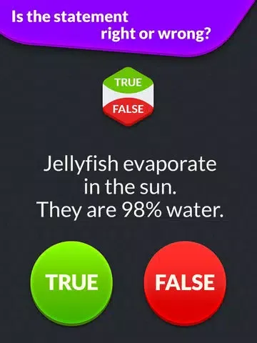 True or False: Quiz Battle iPad  スクリーンショット