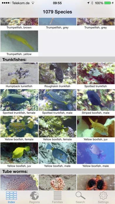 Capturas de pantalla de Reef Guide