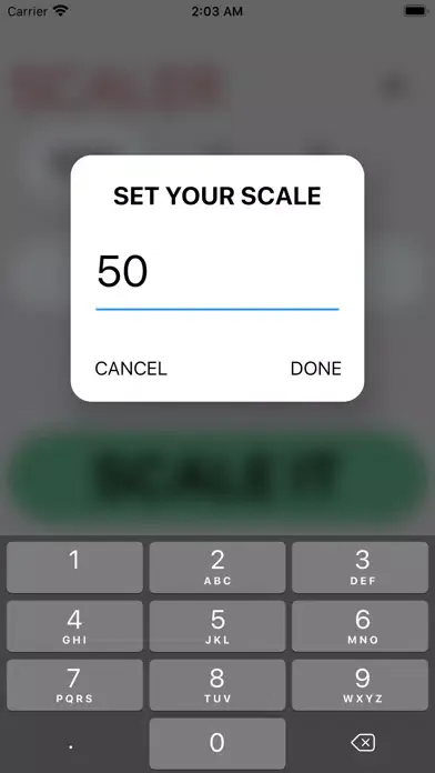 Ảnh chụp màn hình của Scaler app
