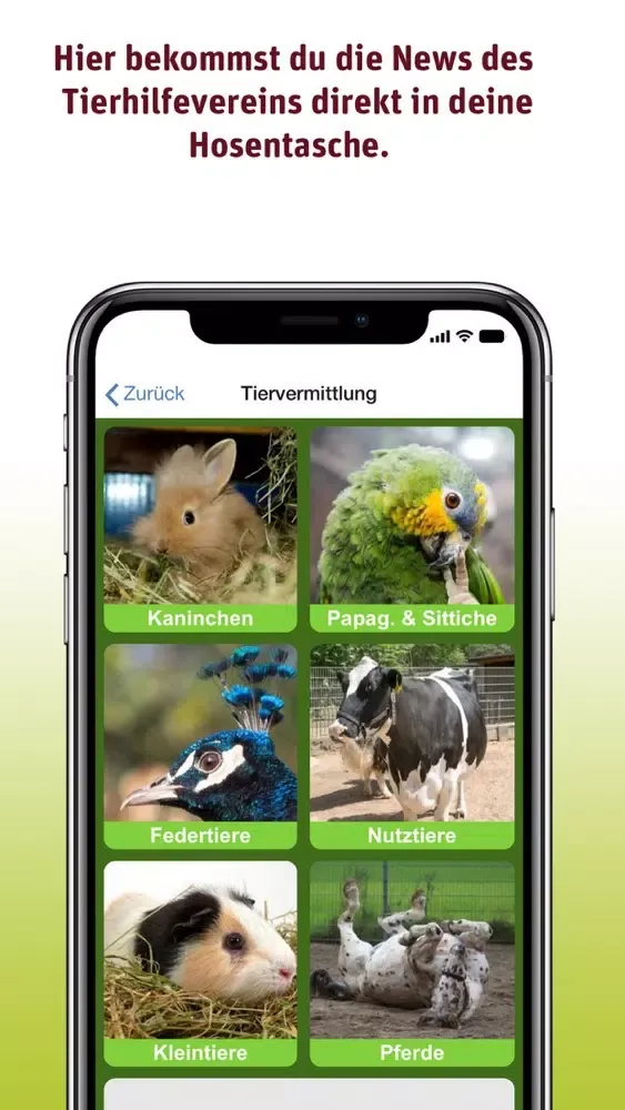 Kellerranch স্ক্রিনশট