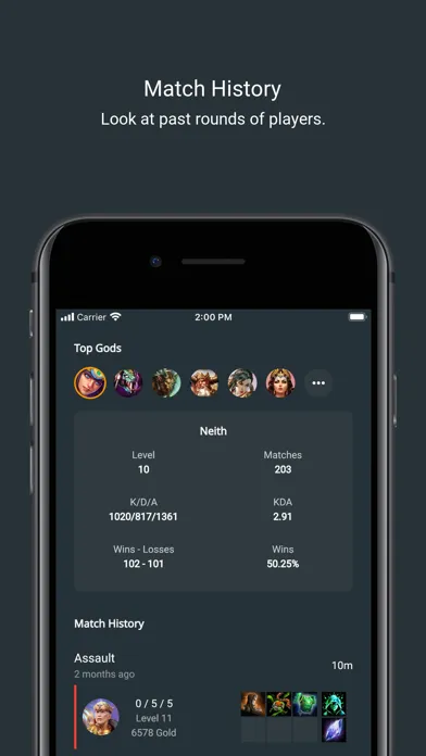 God Log - Companion for Smite 스크린샷