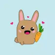Little Bunny