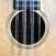 Guarneri - List of the music luthiers/-stores in DE, AT & CH
