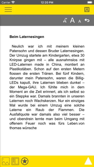 Neue Deister-Zeitung E-Paper Screenshots