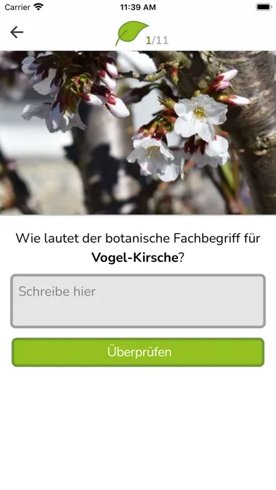 Botanica Screenshots