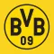 BVB