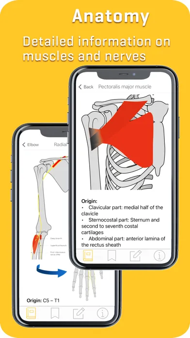 Capturas de tela do MRI-ESSENTIALS: MSK imaging