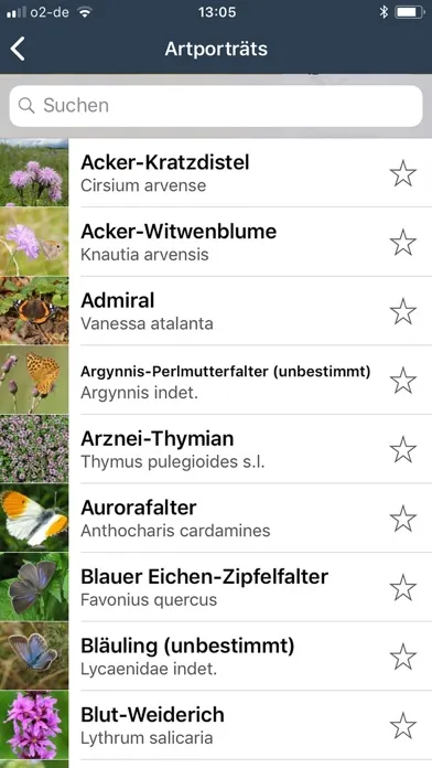 Tangkapan skrin Zeit der Schmetterlinge