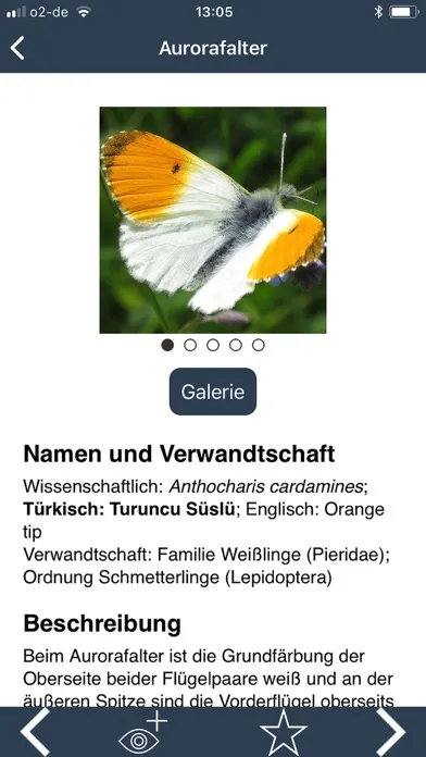 Tangkapan skrin Zeit der Schmetterlinge
