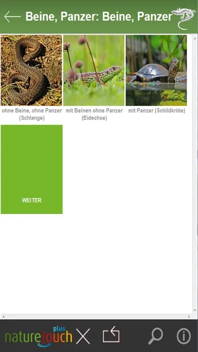 Zrzuty ekranu Schlangen, Eidechsen, Schildkröten bestimmen