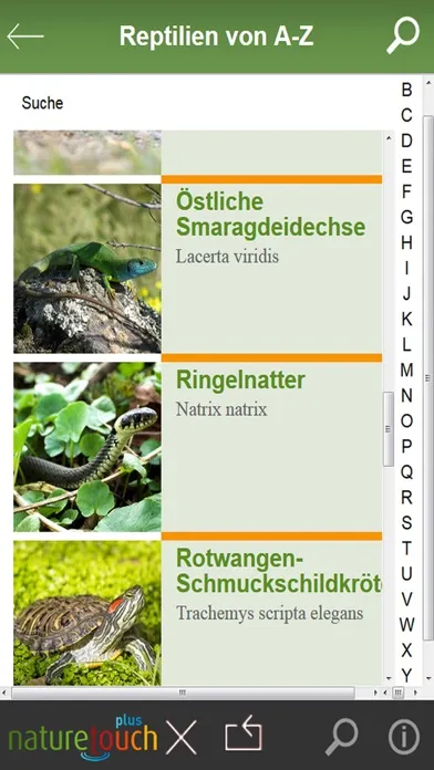Zrzuty ekranu Schlangen, Eidechsen, Schildkröten bestimmen