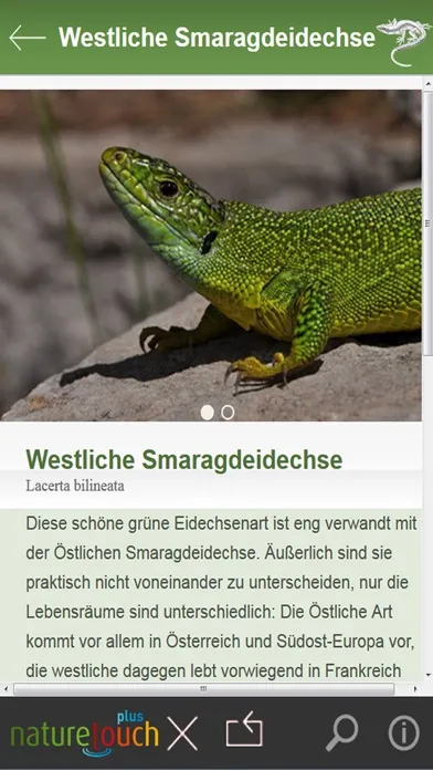Zrzuty ekranu Schlangen, Eidechsen, Schildkröten bestimmen