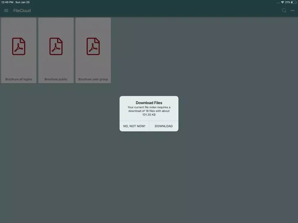 Capturas de pantalla de nets. FileCloud iPad 