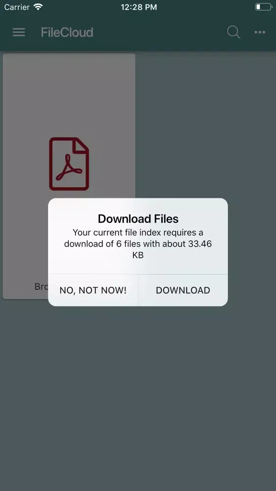 Capturas de pantalla de nets. FileCloud