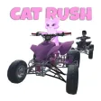Cat Rush