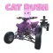 Cat Rush