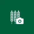 FANi