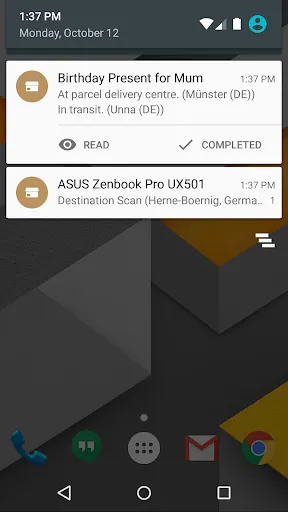 Deliveries Package Tracker Screenshots