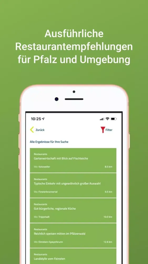 تصاویر Pfalzwerkzeug