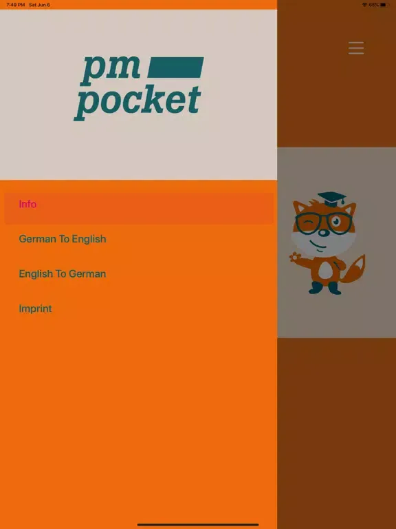 Ảnh chụp màn hình của PM Pocket iPad 