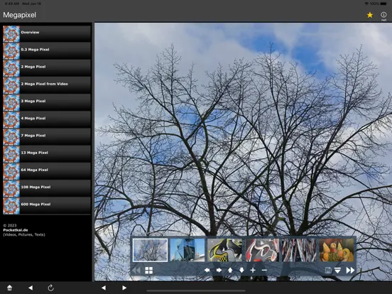 Скриншоты Megapixel iPad 